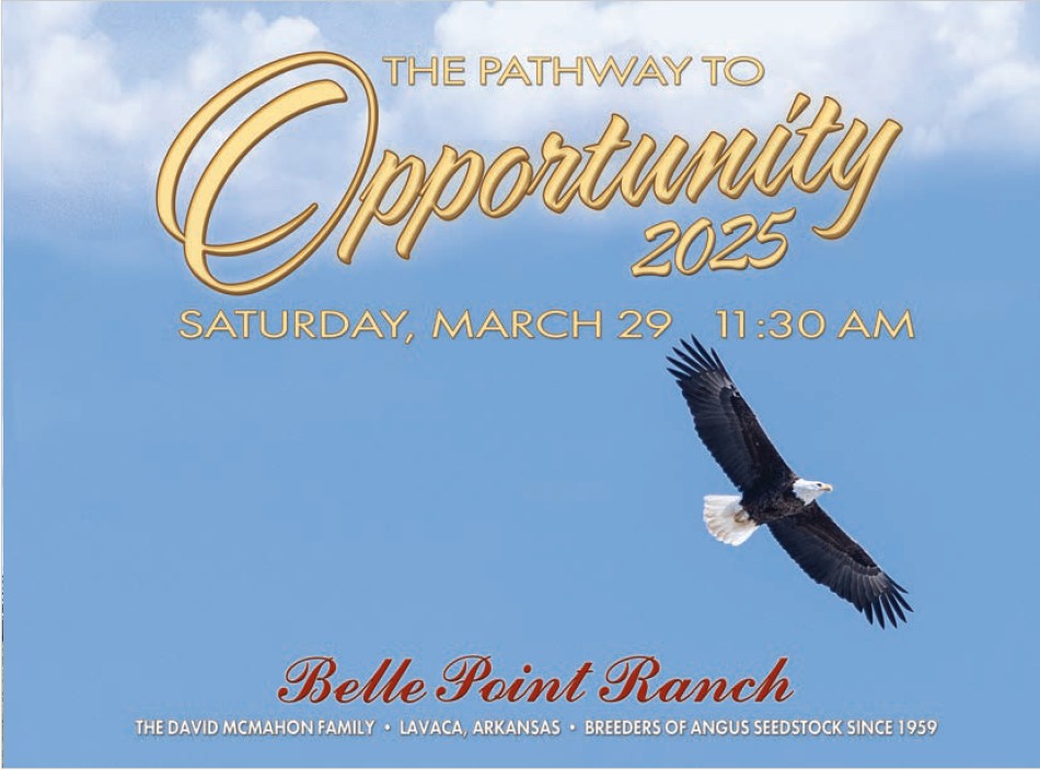 the pathway to opportunity sale catalog 2025