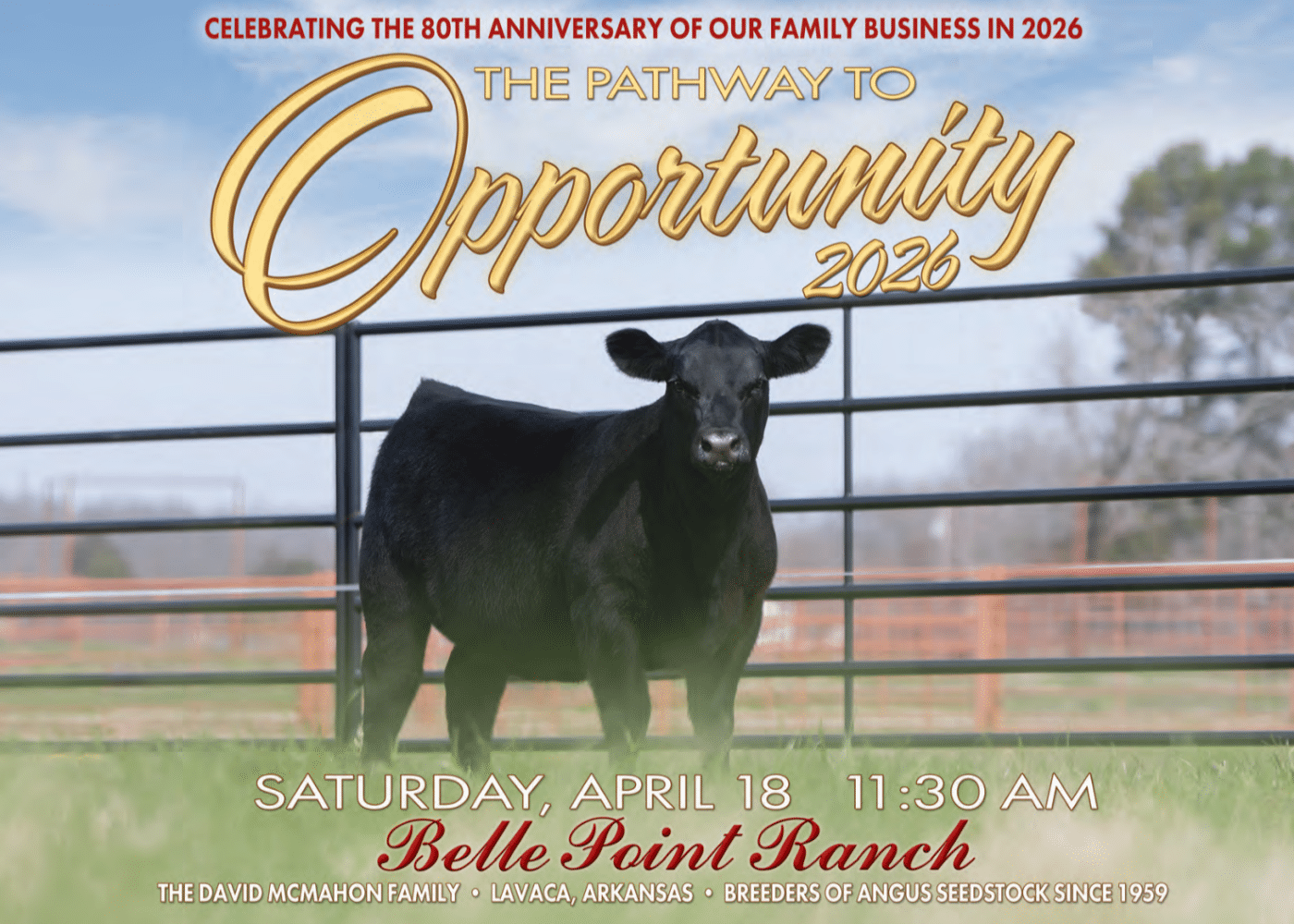 Belle Point Ranch Sale 2026