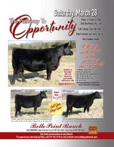 Belle Point Ranch March 2020 Sale