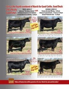 Belle Point Ranch March 2020 Sale
